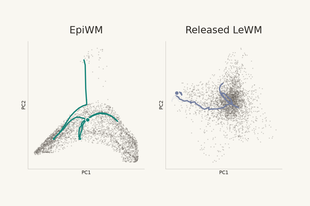 EpiWM