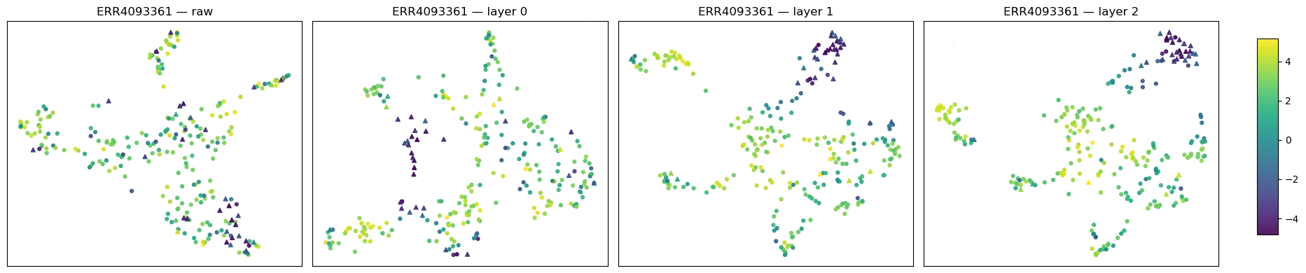 UMAP comparison